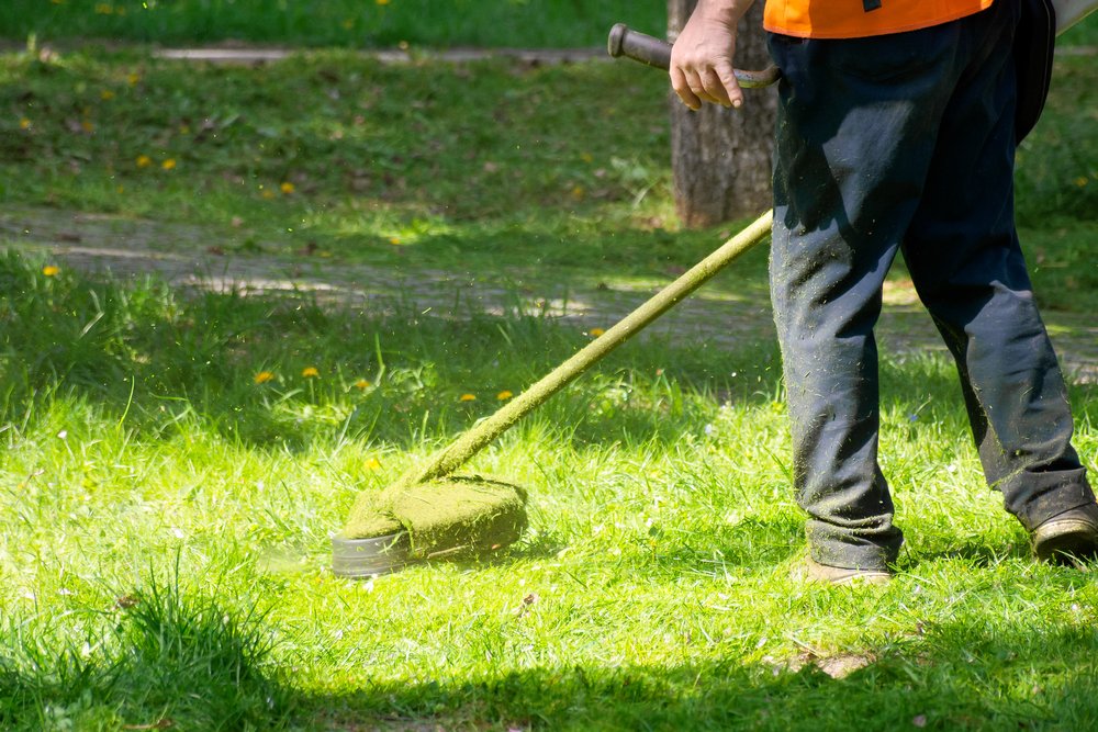 Grass,Care,With,Brush,Cutter.,Working,With,Professional,Grade,Garden